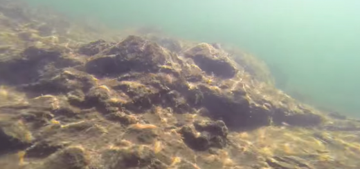 Screen Shot 2014-12-15 at 8.37.43 PM